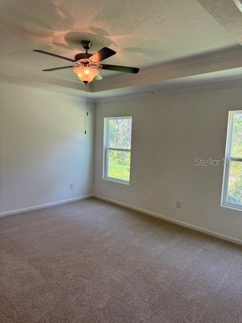 169 GREENWOOD DR, PALM COAST, FL, 32137