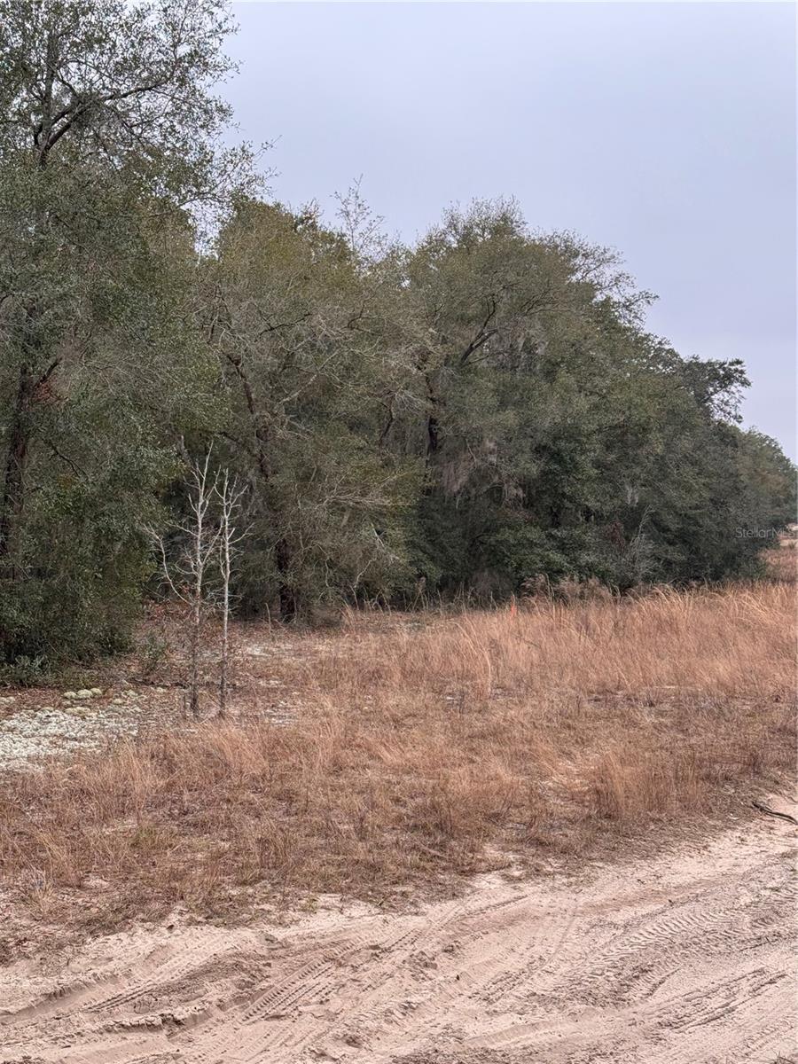 SE 100 ST, OCALA, FL, 34472