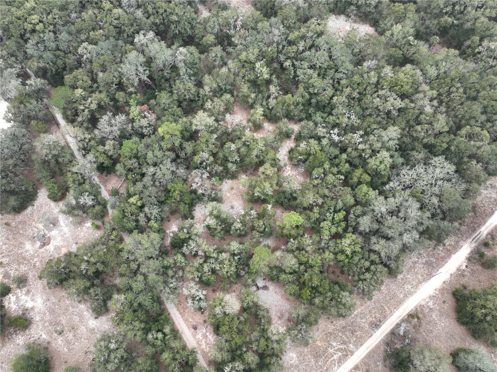 SE 100 ST, OCALA, FL, 34472