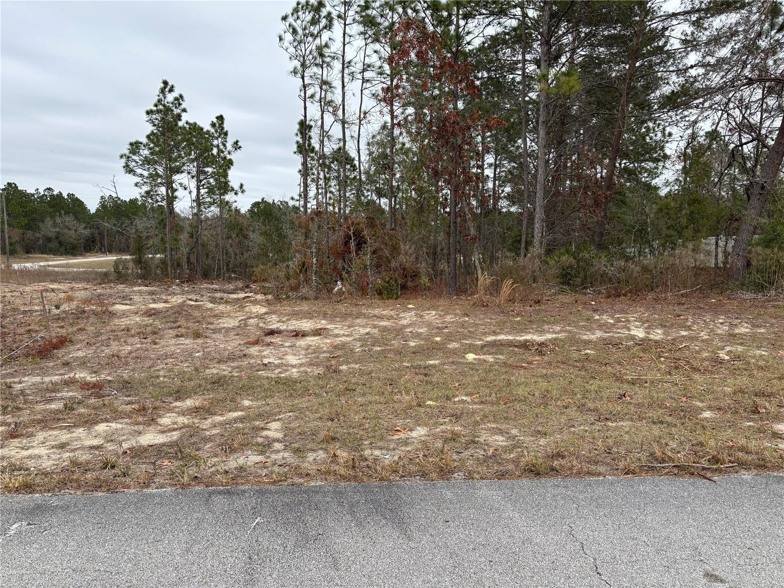 0 SW 85TH TER #12, OCALA, FL, 34473