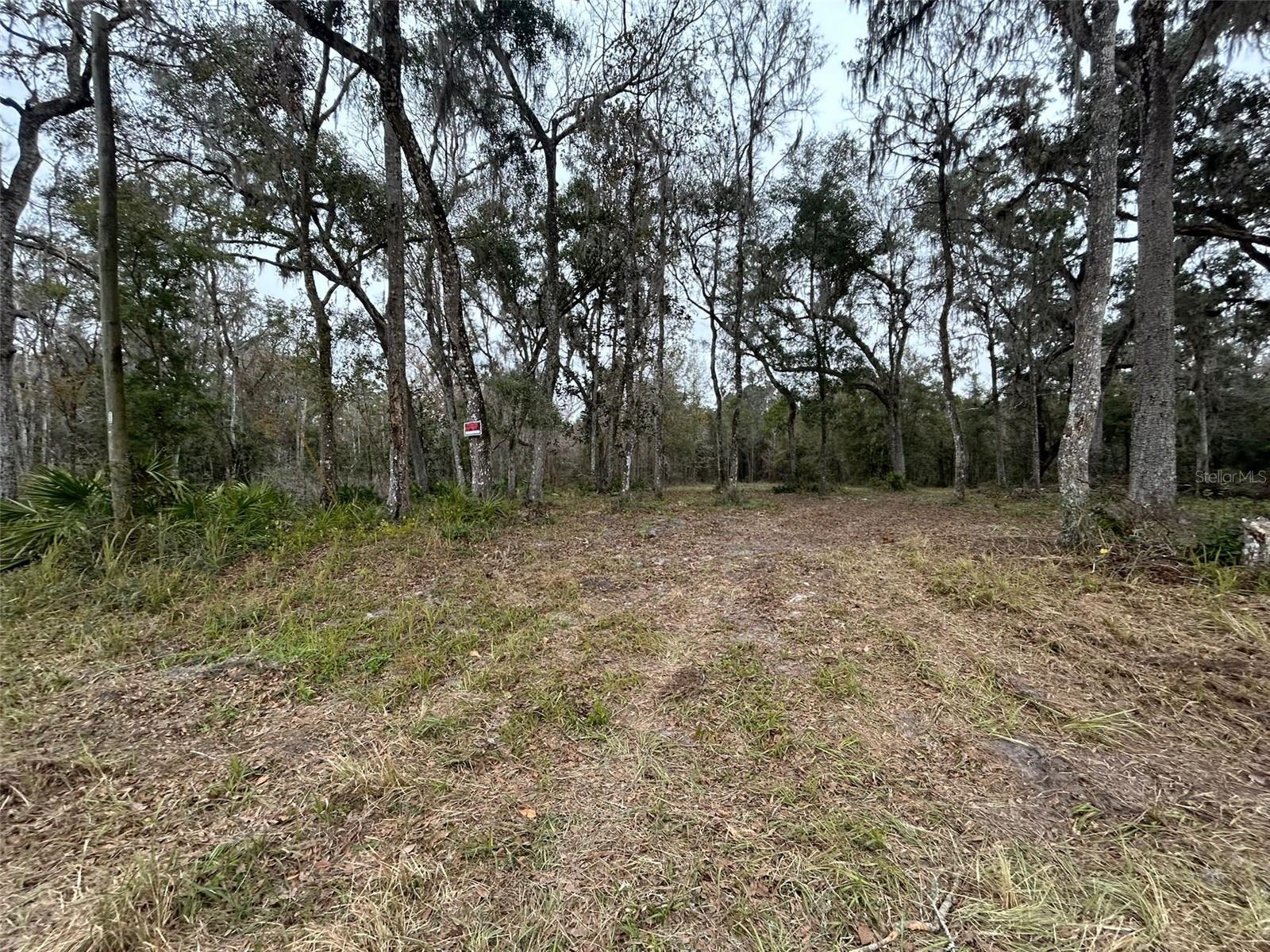 12191 NW 7TH PL, OCALA, FL, 34482