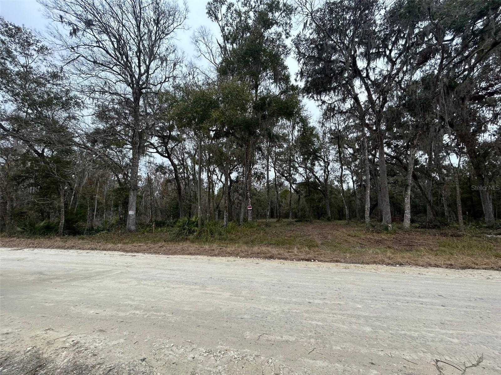 12191 NW 7TH PL, OCALA, FL, 34482