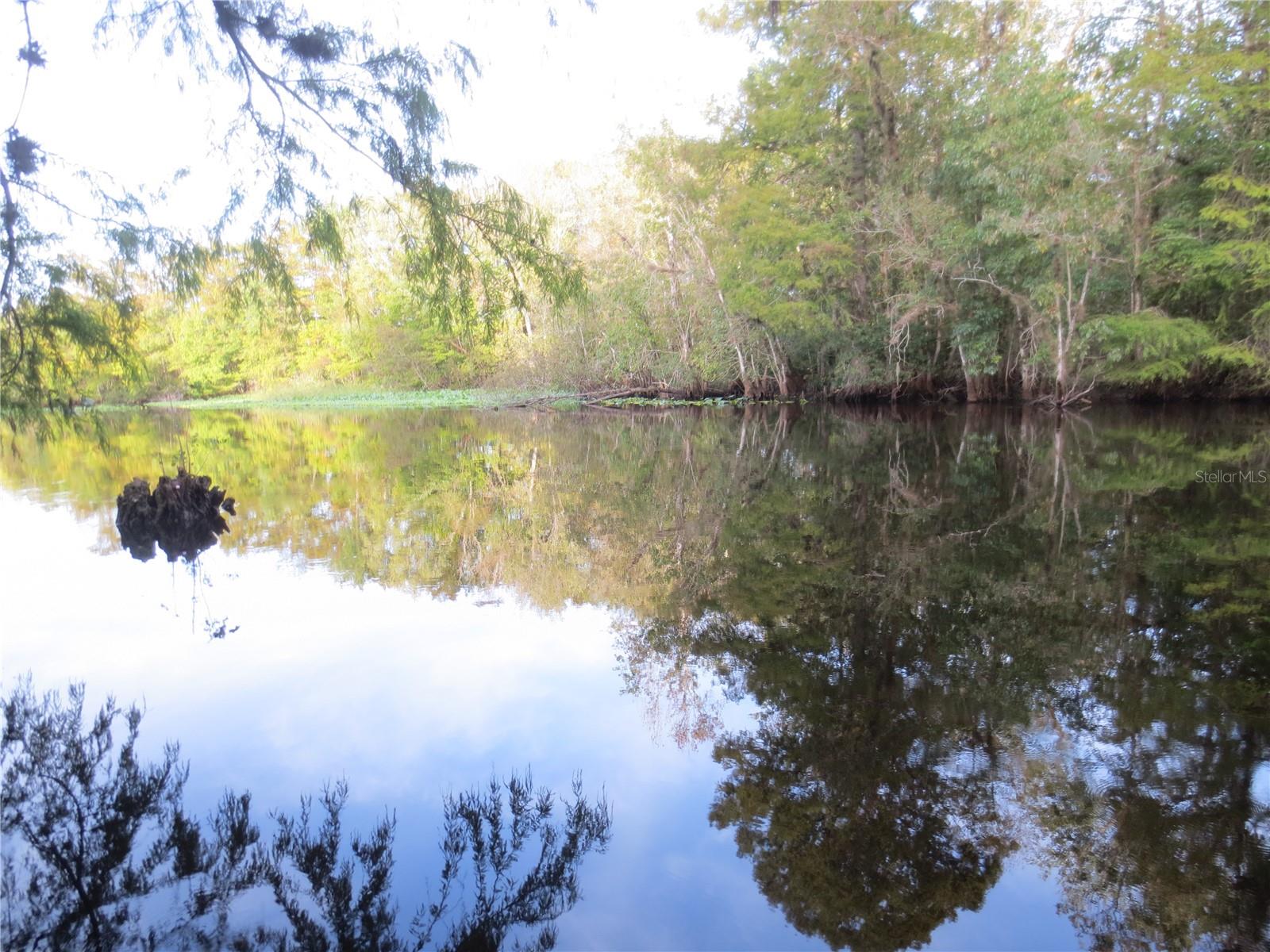 18167 SE 19TH ST, SILVER SPRINGS, FL, 34488