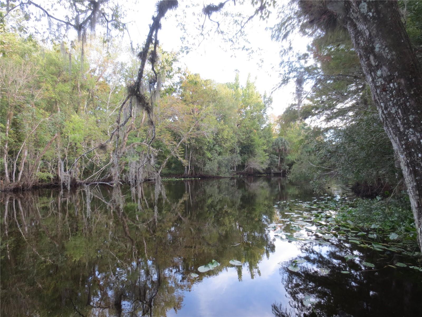 18167 SE 19TH ST, SILVER SPRINGS, FL, 34488
