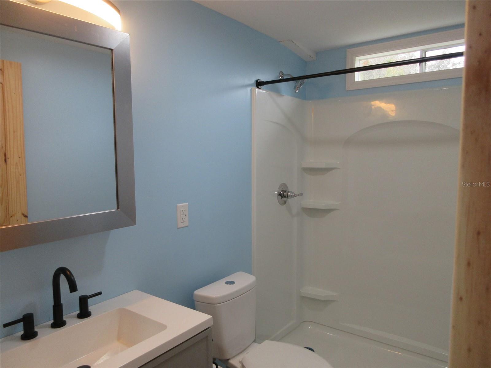 18167 SE 19TH ST, SILVER SPRINGS, FL, 34488