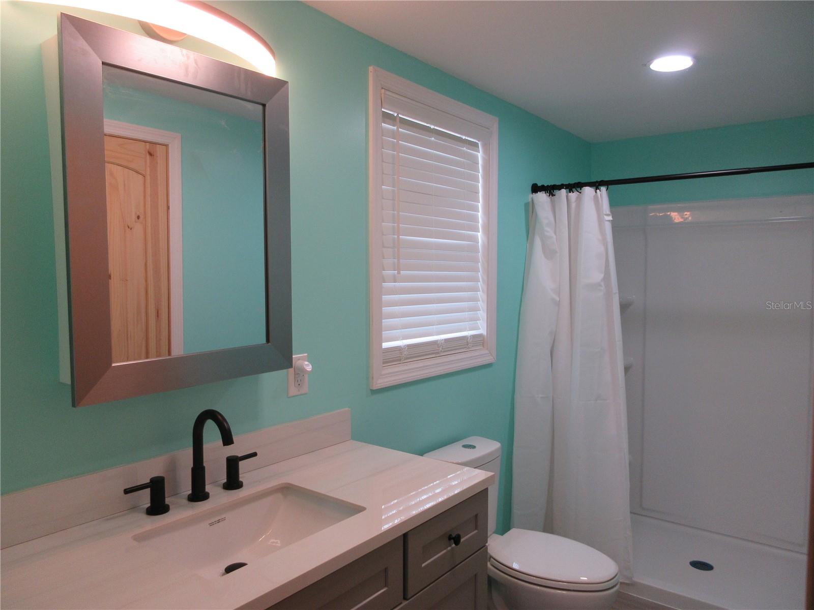 18167 SE 19TH ST, SILVER SPRINGS, FL, 34488
