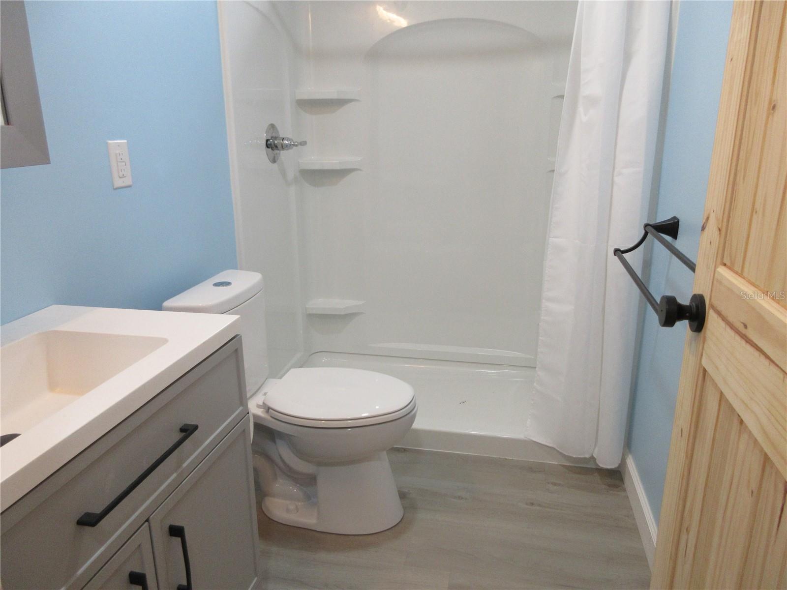 18167 SE 19TH ST, SILVER SPRINGS, FL, 34488