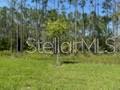 179 GREENWOOD DR, PALM COAST, FL, 32137