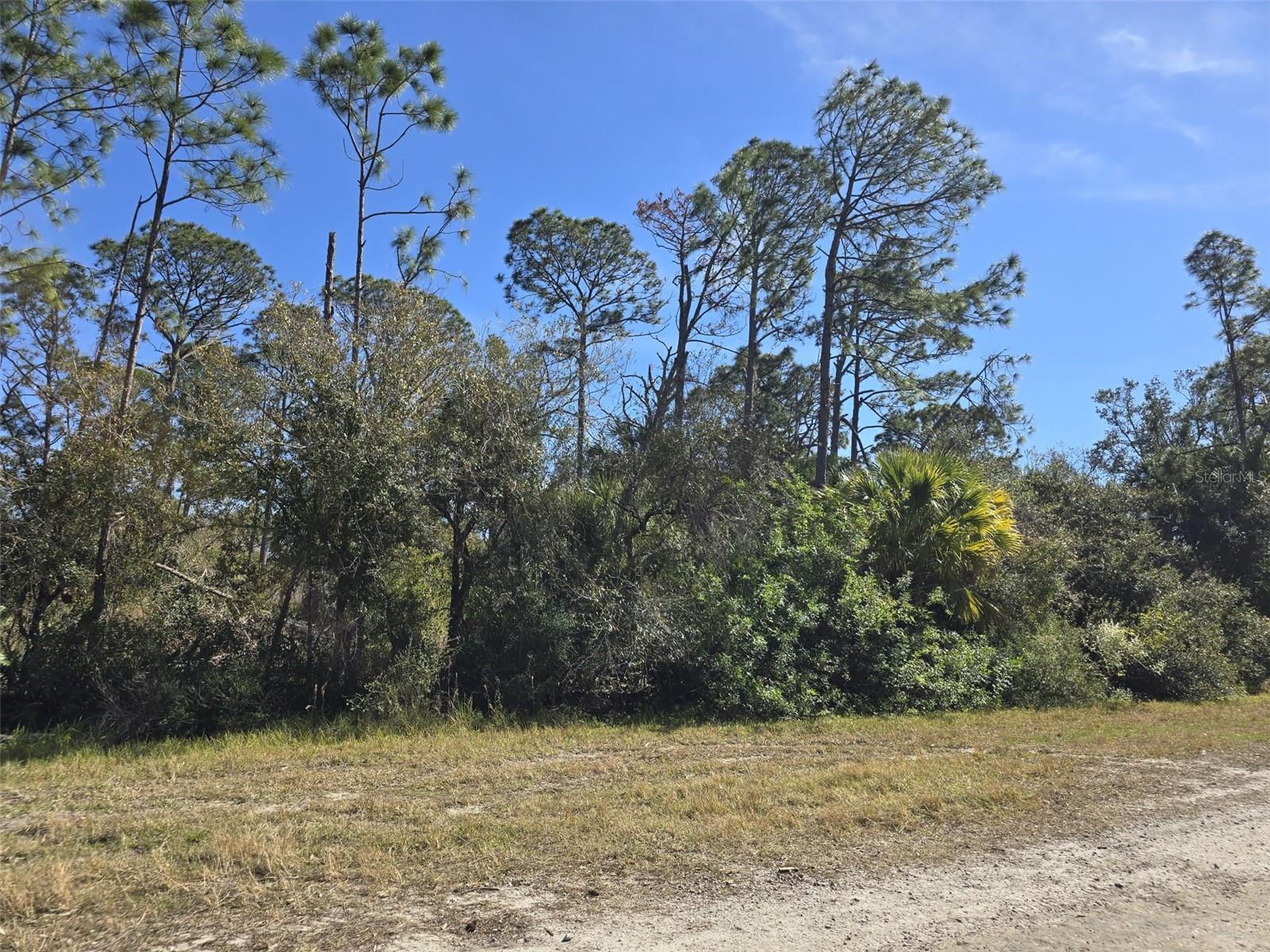 HORNBUCKLE BLVD, NORTH PORT, FL, 34291