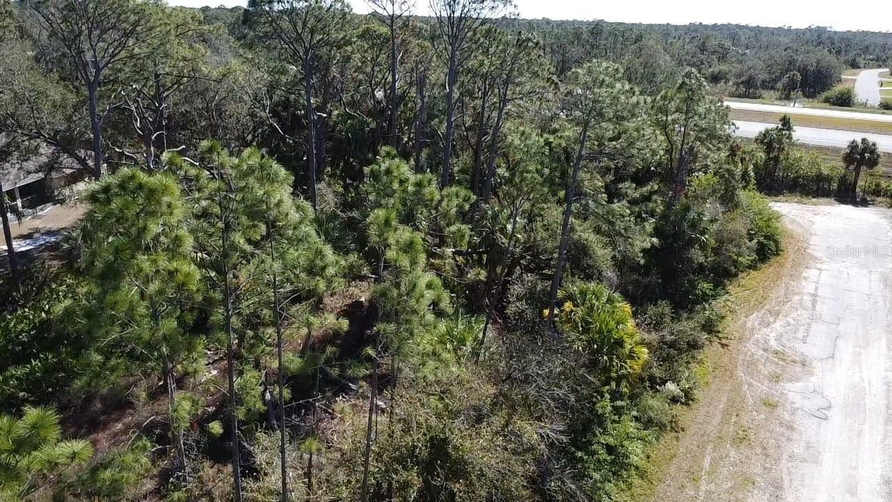 HORNBUCKLE BLVD, NORTH PORT, FL, 34291