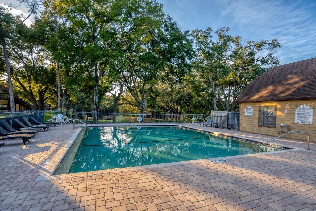 365 FORESTWAY CIR #204, ALTAMONTE SPRINGS, FL, 32701