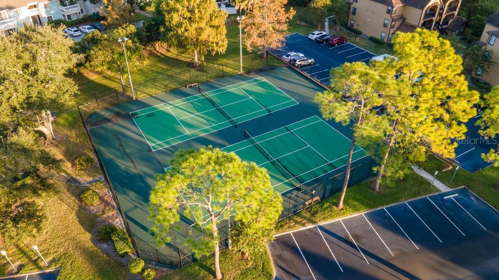 365 FORESTWAY CIR #204, ALTAMONTE SPRINGS, FL, 32701