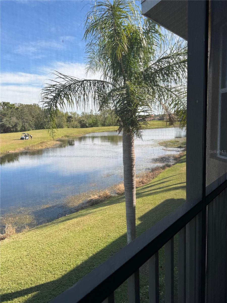 915 FAIRWAYCOVE LN #206, BRADENTON, FL, 34212