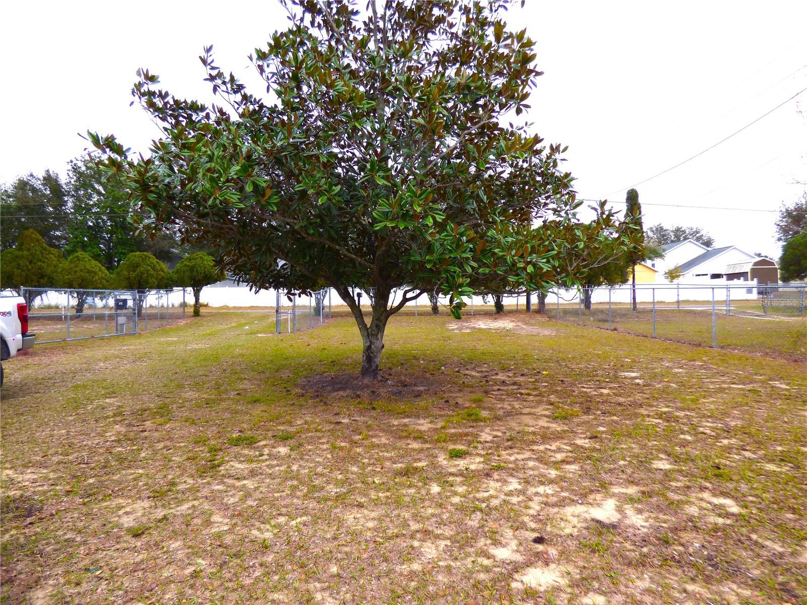 509 FDC GROVE RD, DAVENPORT, FL, 33837
