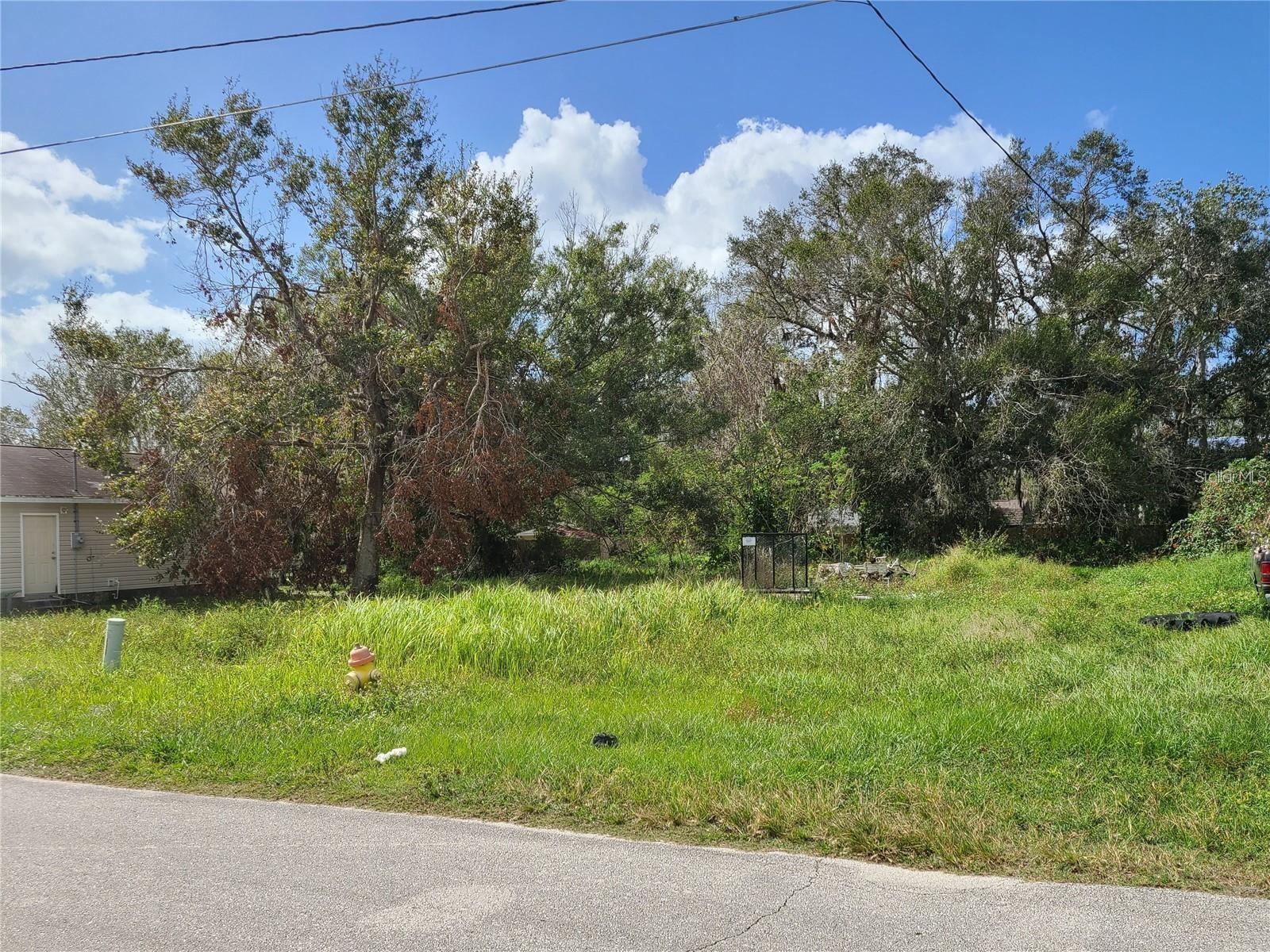 MARTIN LUTHER KING DR, BOWLING GREEN, FL, 33834