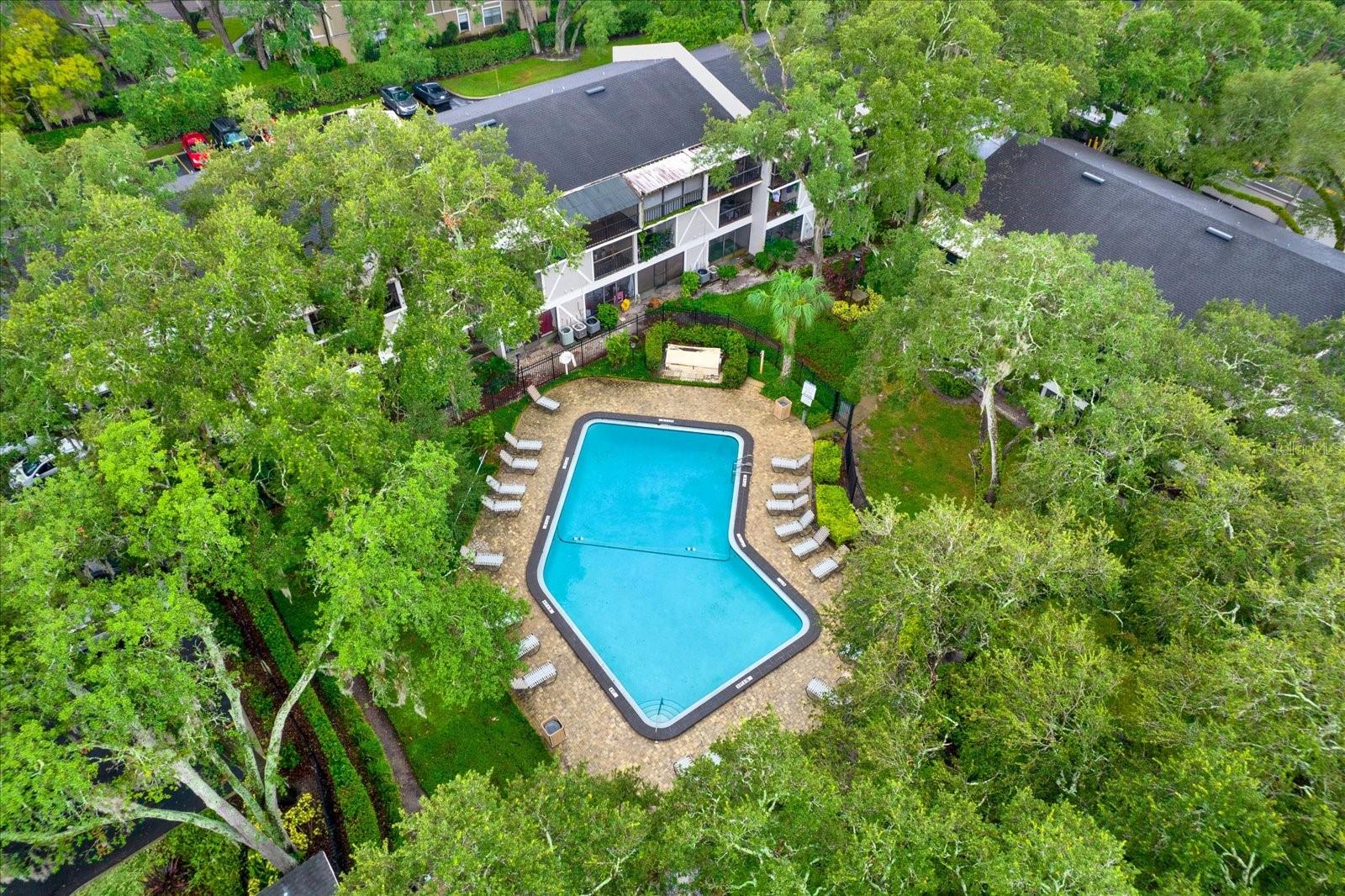 14468 REUTER STRASSE CIR #503, TAMPA, FL, 33613