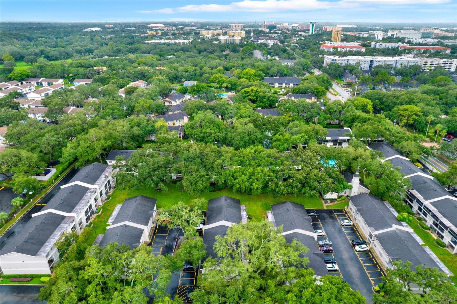14468 REUTER STRASSE CIR #503, TAMPA, FL, 33613
