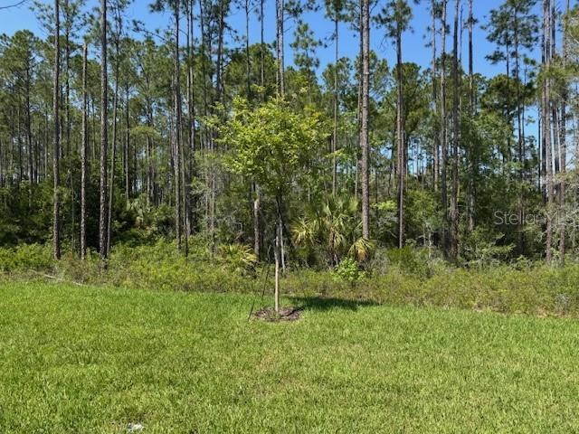 175 GREENWOOD DR, PALM COAST, FL, 32137