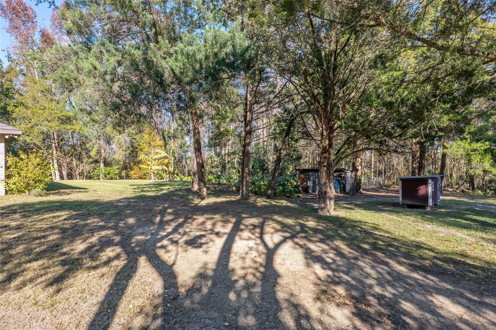 2821 SE 80TH ST, OCALA, FL, 34480