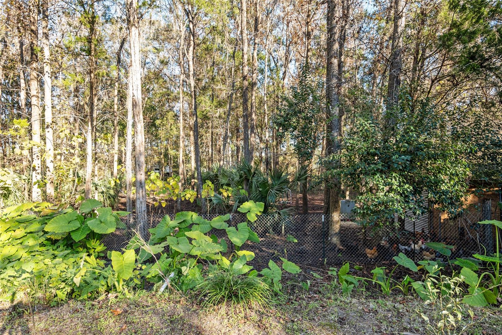 2821 SE 80TH ST, OCALA, FL, 34480