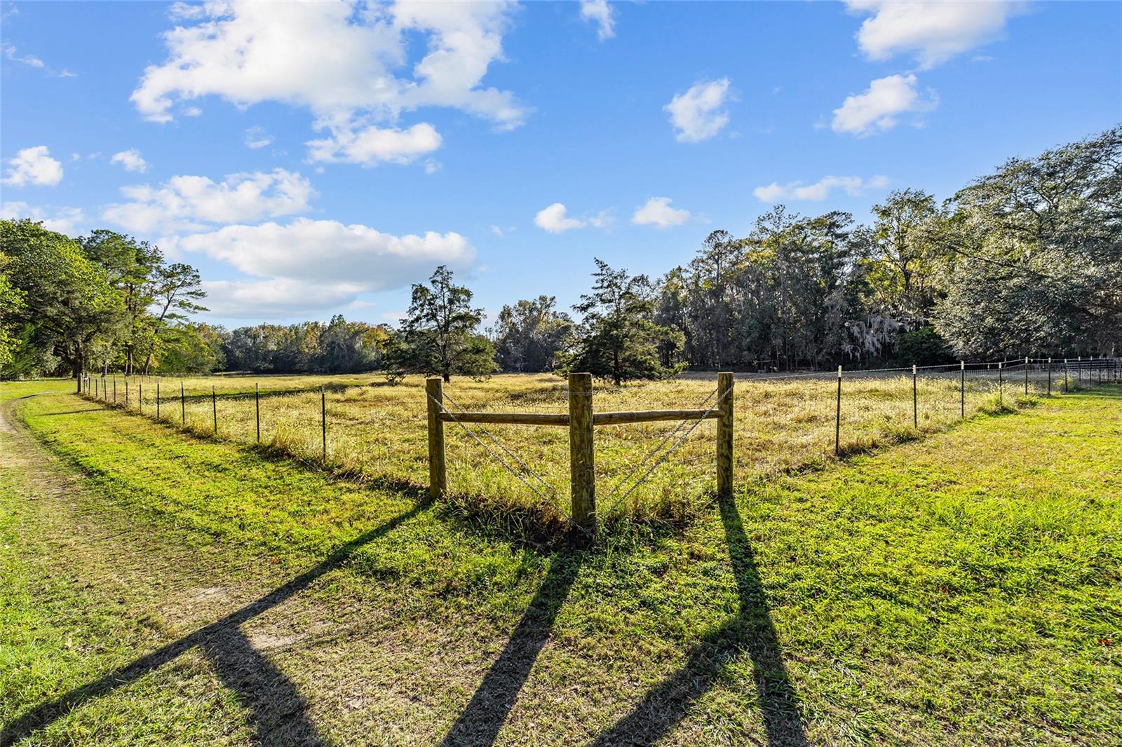 2821 SE 80TH ST, OCALA, FL, 34480