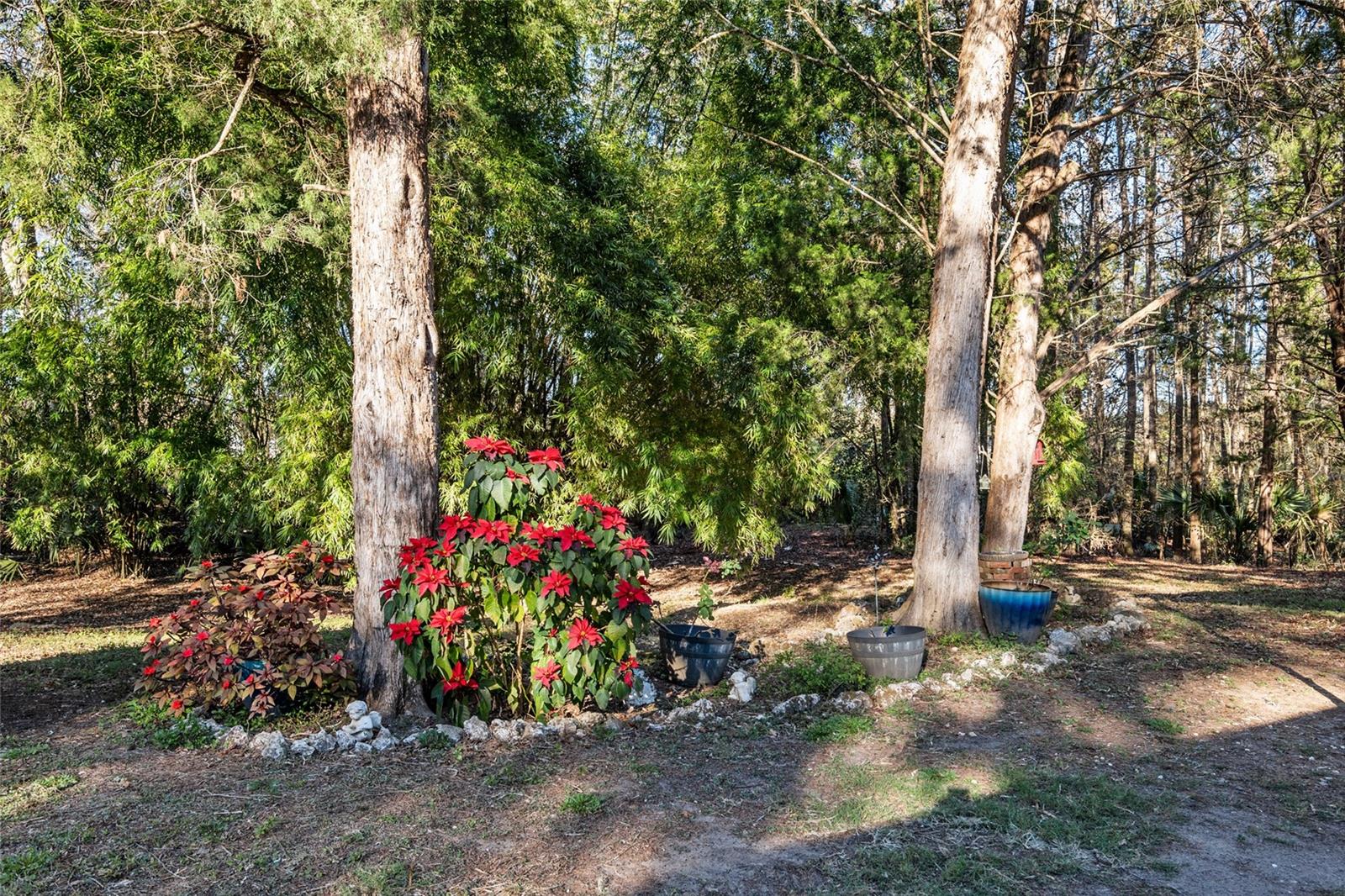 2821 SE 80TH ST, OCALA, FL, 34480