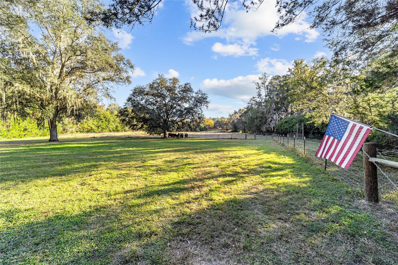 2821 SE 80TH ST, OCALA, FL, 34480