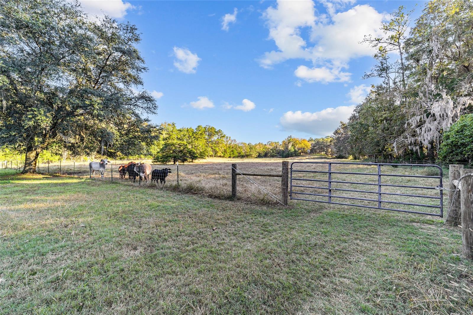 2821 SE 80TH ST, OCALA, FL, 34480