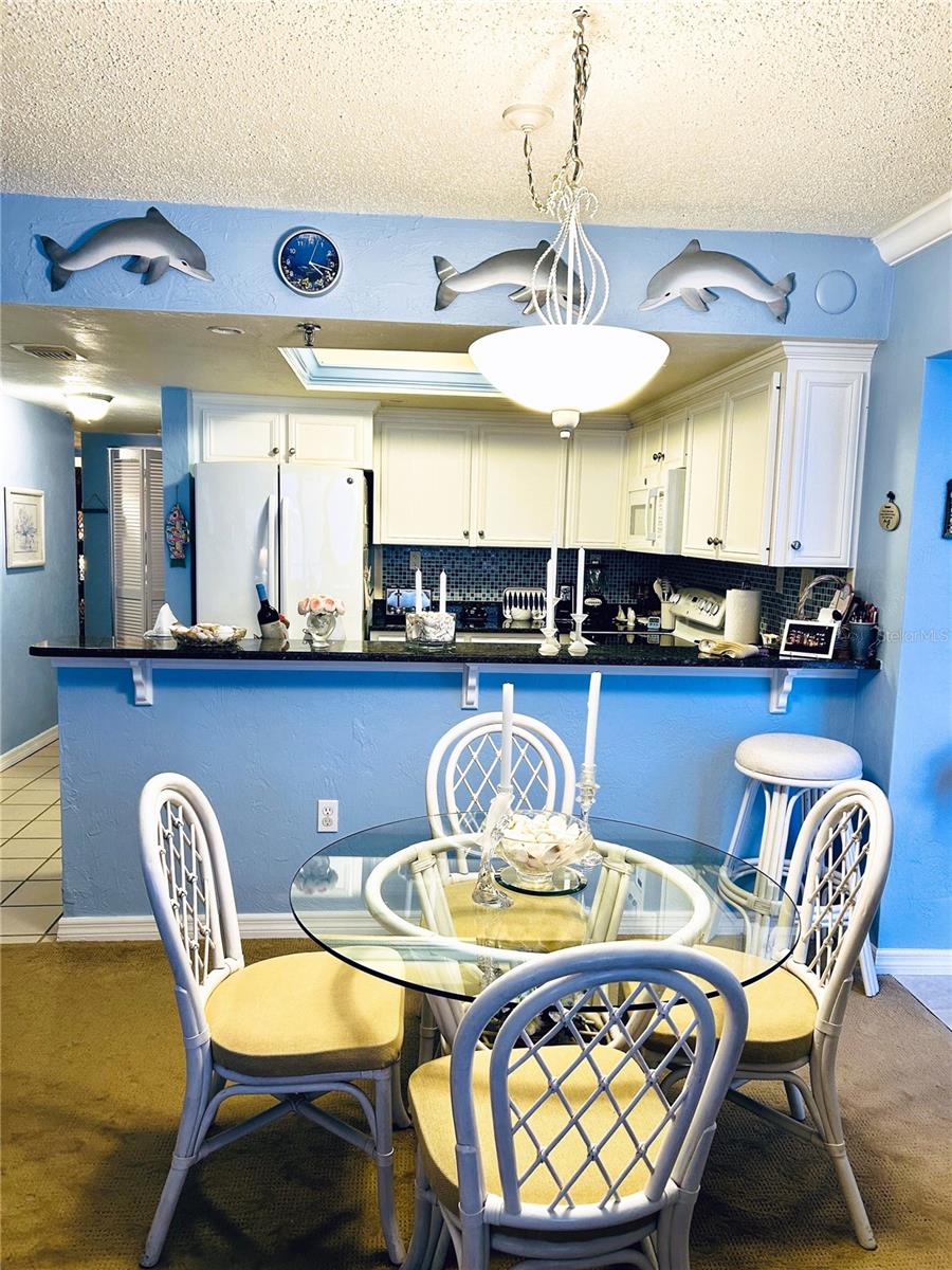 4141 S ATLANTIC AVE #602, NEW SMYRNA BEACH, FL, 32169