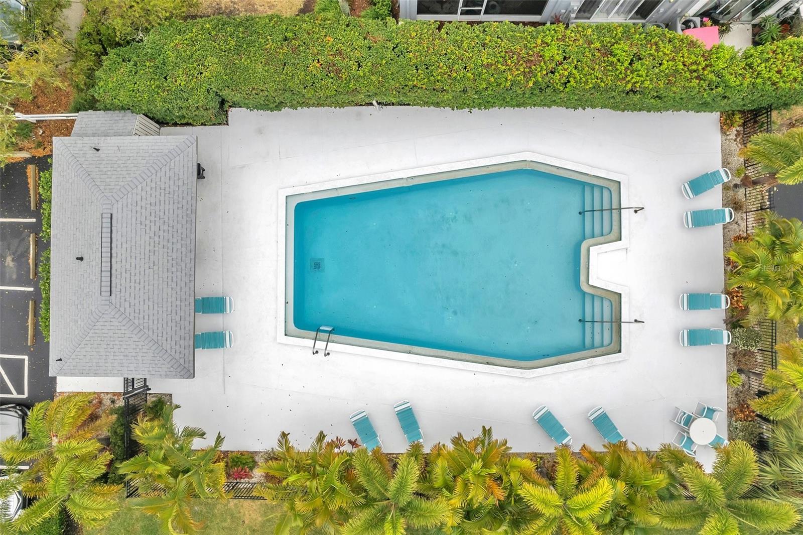2739 ENTERPRISE RD E #1, CLEARWATER, FL, 33759
