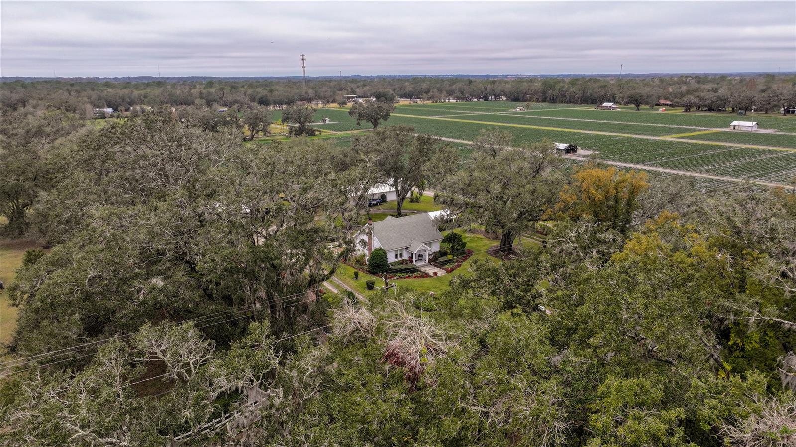 4156 MCINTOSH RD, DOVER, FL, 33527