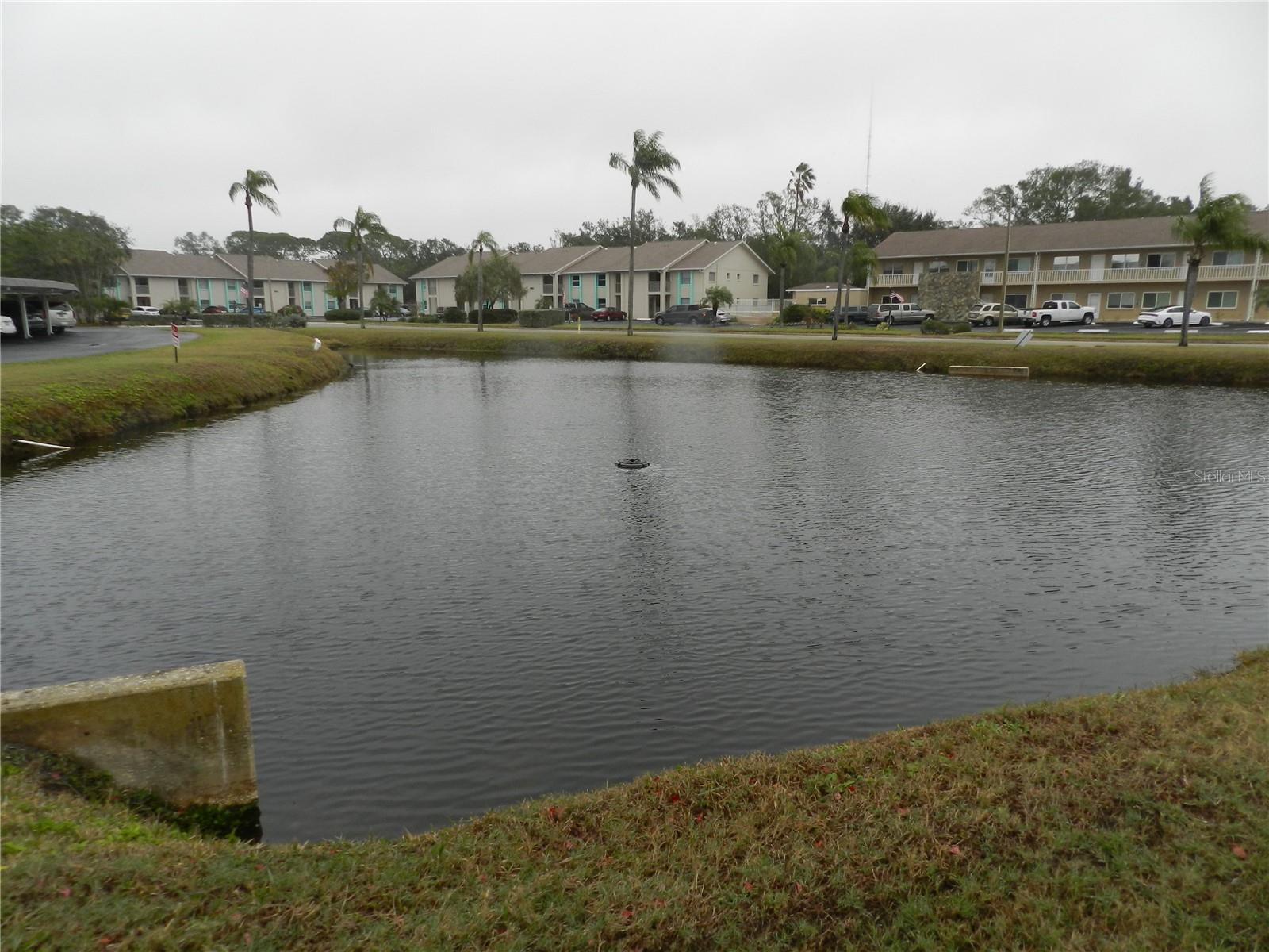 214 ELMWOOD CIR #214, SEMINOLE, FL, 33777