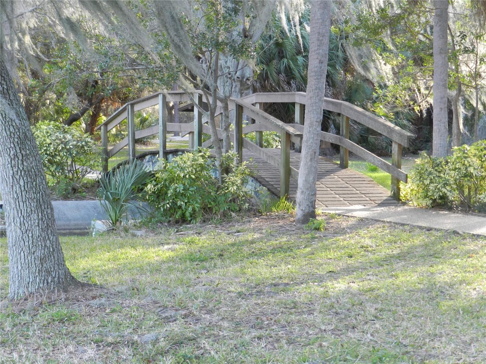 214 ELMWOOD CIR #214, SEMINOLE, FL, 33777