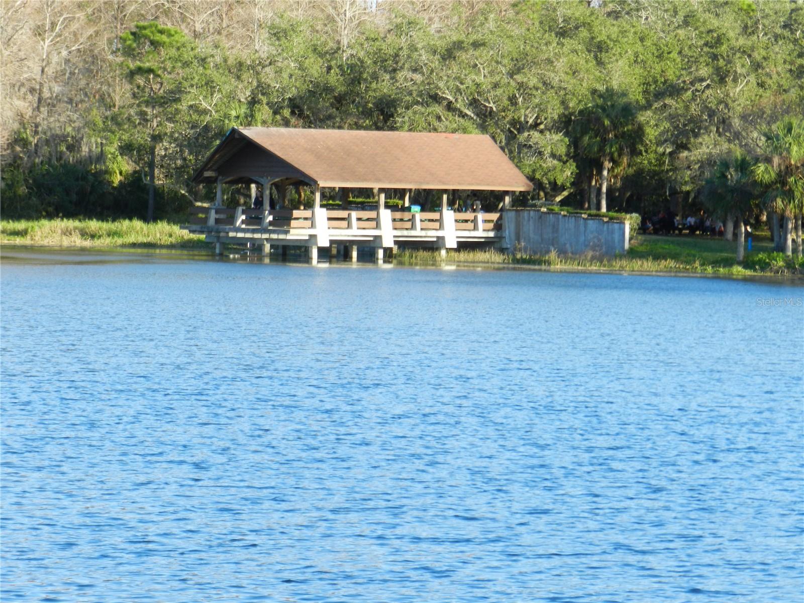 214 ELMWOOD CIR #214, SEMINOLE, FL, 33777