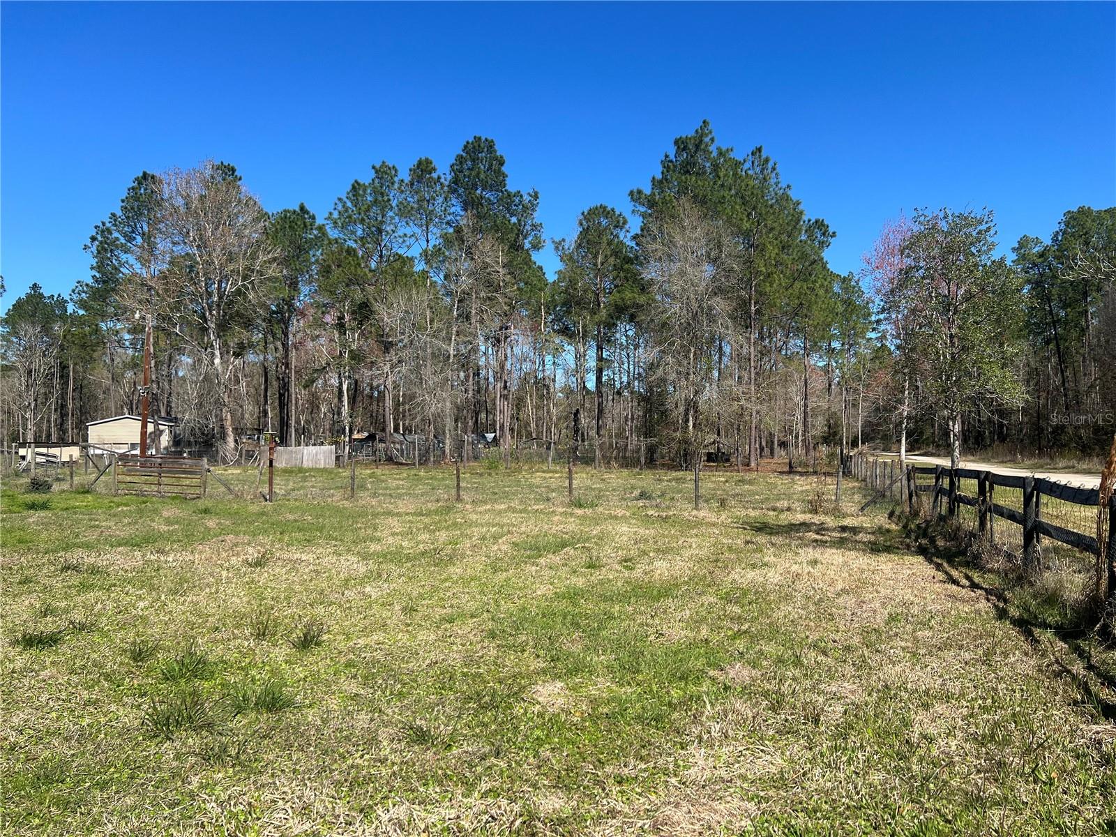 11104 NE 81ST ST, GAINESVILLE, FL, 32609