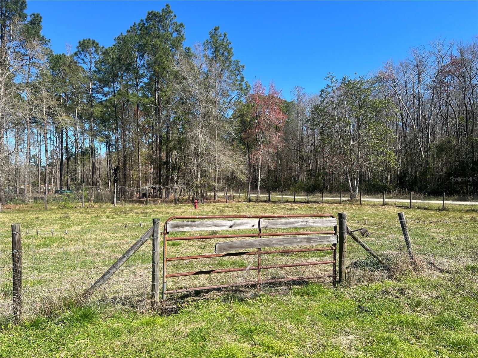 11104 NE 81ST ST, GAINESVILLE, FL, 32609
