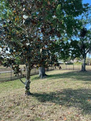 113 WALTON HEATH DR, ORLANDO, FL, 32828