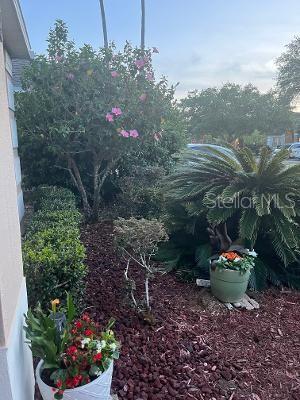 113 WALTON HEATH DR, ORLANDO, FL, 32828