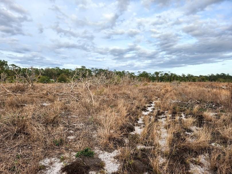 W FROSTPROOF RD, FROSTPROOF, FL, 33843