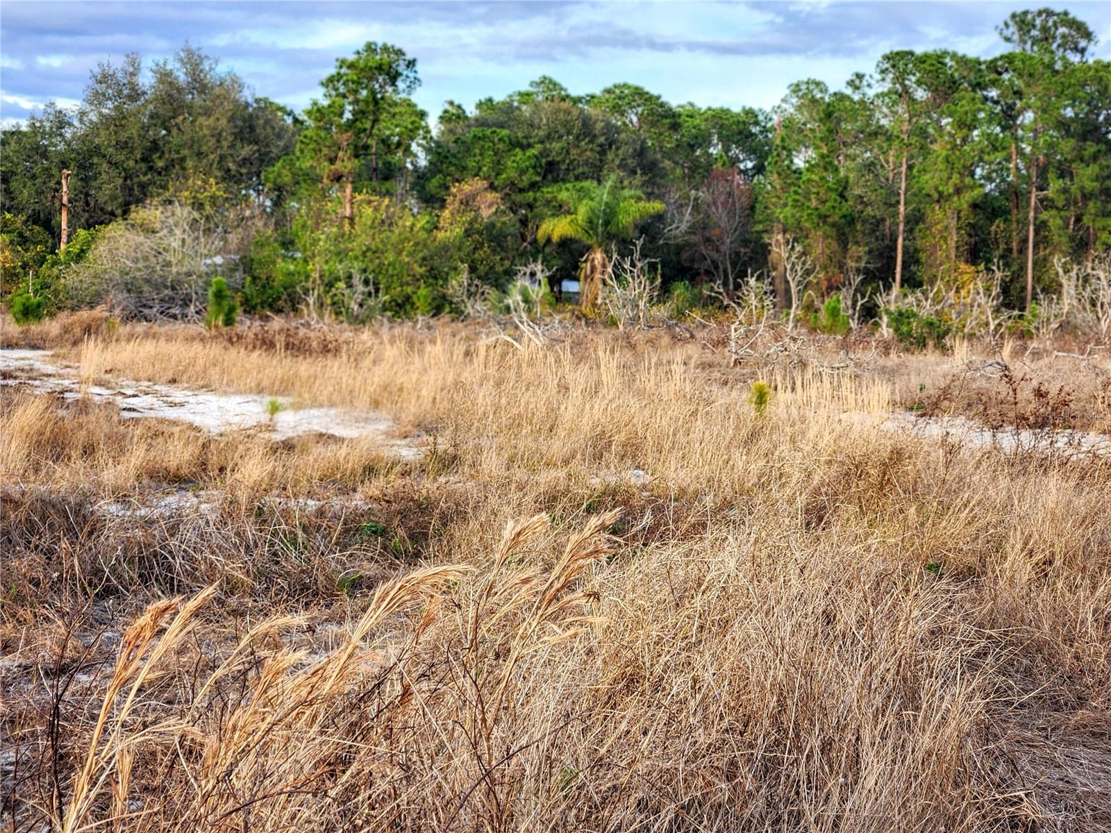 W FROSTPROOF RD, FROSTPROOF, FL, 33843