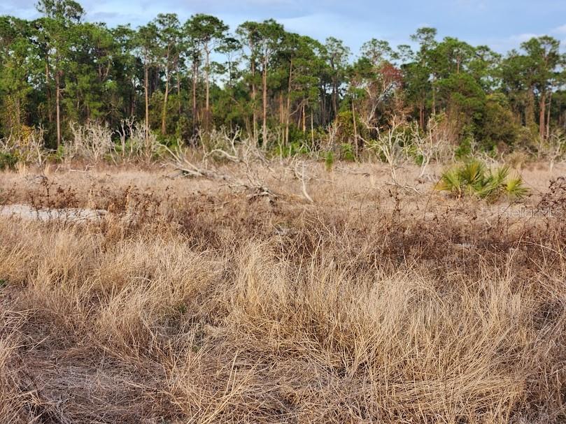 W FROSTPROOF RD, FROSTPROOF, FL, 33843