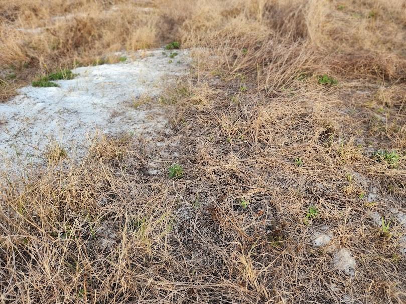 W FROSTPROOF RD, FROSTPROOF, FL, 33843