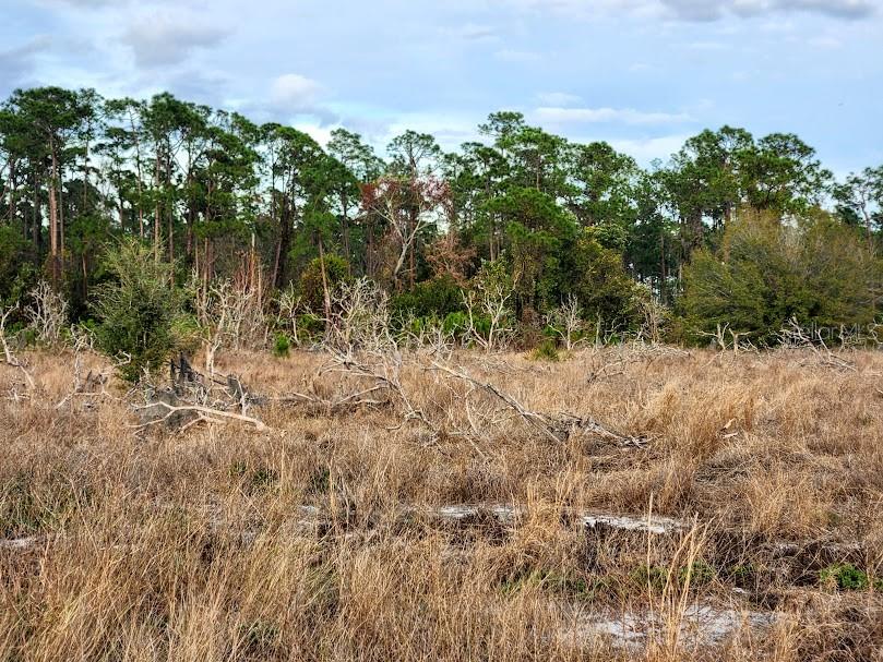 W FROSTPROOF RD, FROSTPROOF, FL, 33843