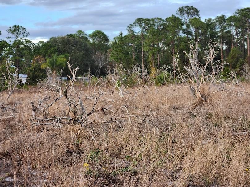 W FROSTPROOF RD, FROSTPROOF, FL, 33843