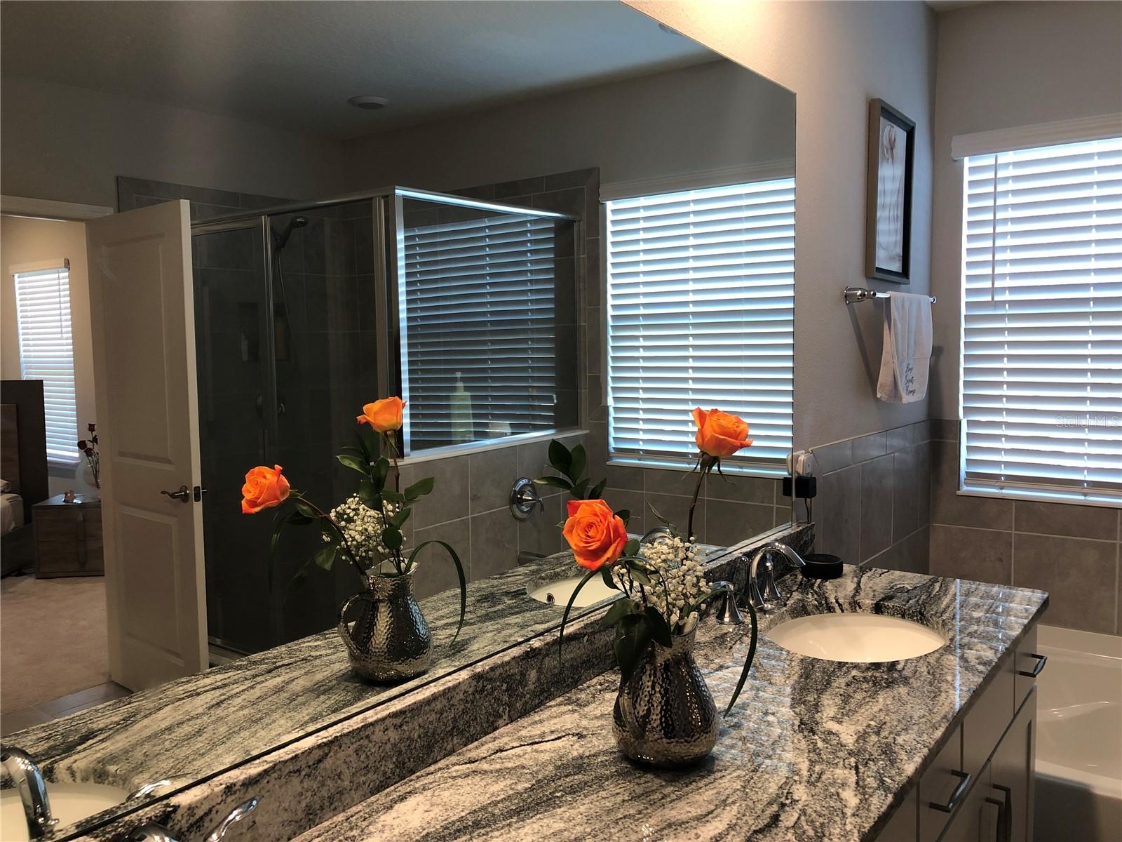 10913 KIDRON VALLEY LN, TAMPA, FL, 33625