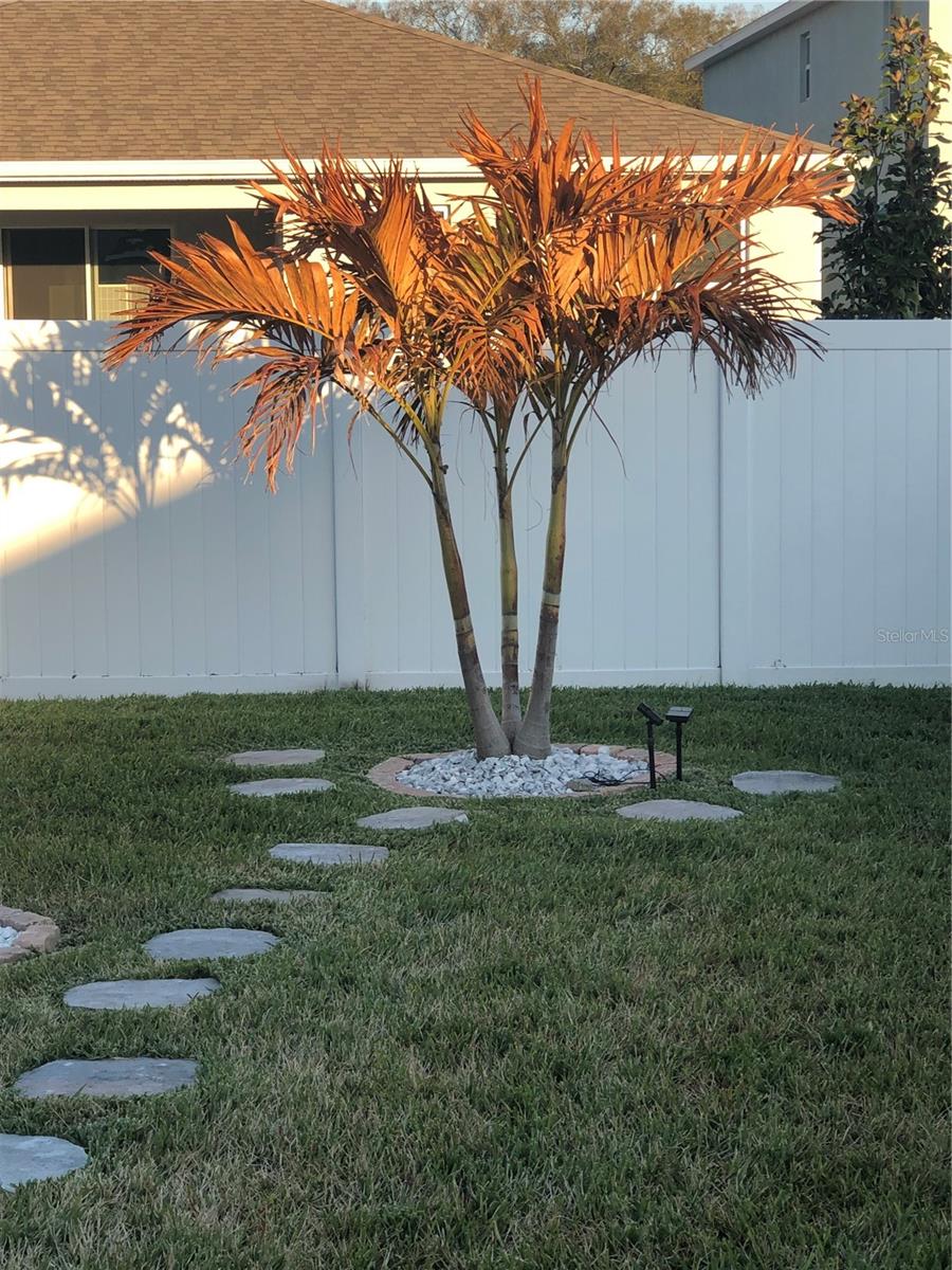 10913 KIDRON VALLEY LN, TAMPA, FL, 33625