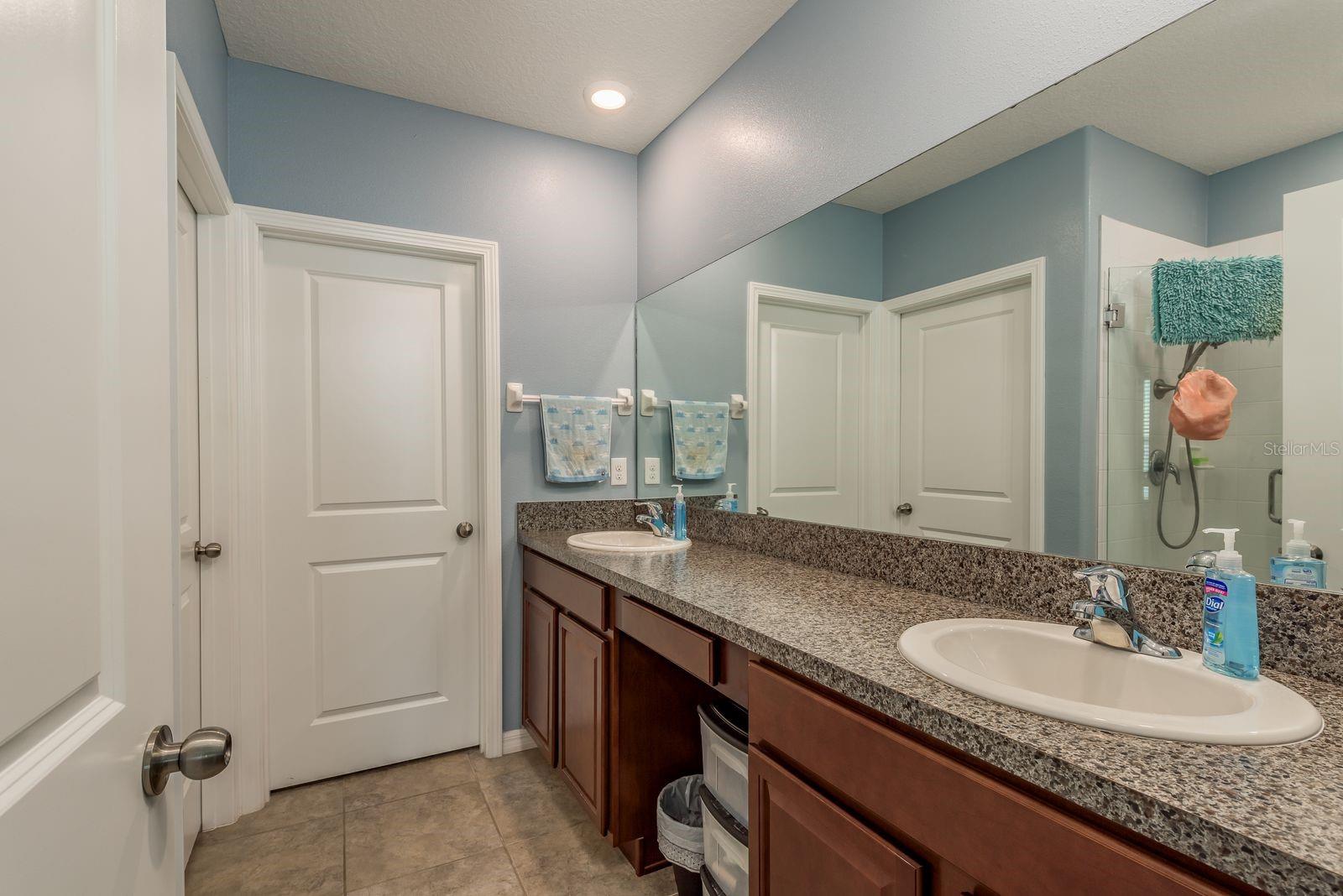 11418 SAGE CANYON DR, RIVERVIEW, FL, 33578
