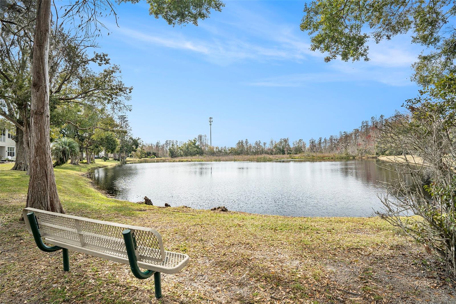 2135 PARK CRESCENT DR, LAND O LAKES, FL, 34639