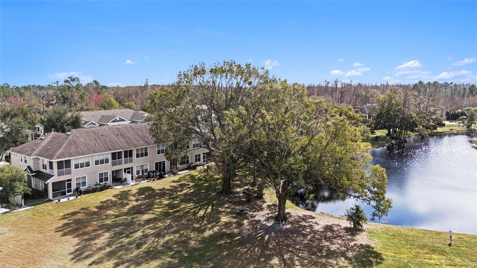 2135 PARK CRESCENT DR, LAND O LAKES, FL, 34639