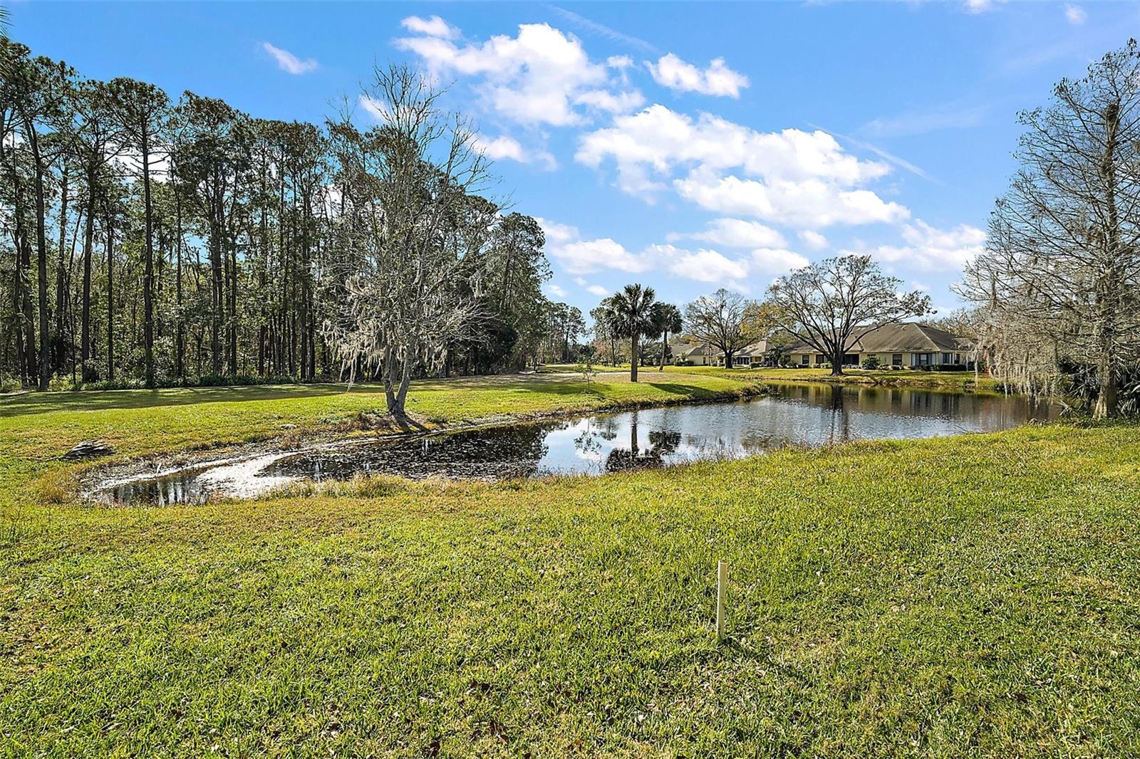 586 JUNIPER WAY, TAVARES, FL, 32778